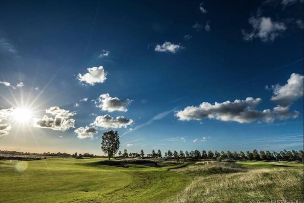 Villa Friedolin Heeft Zicht Op Zee En Duinen, In Duinenreservaat, Hot Tub Met Jacuzzi En Sauna Met Zeezichten Te Oostduinkerke Zewnętrze zdjęcie