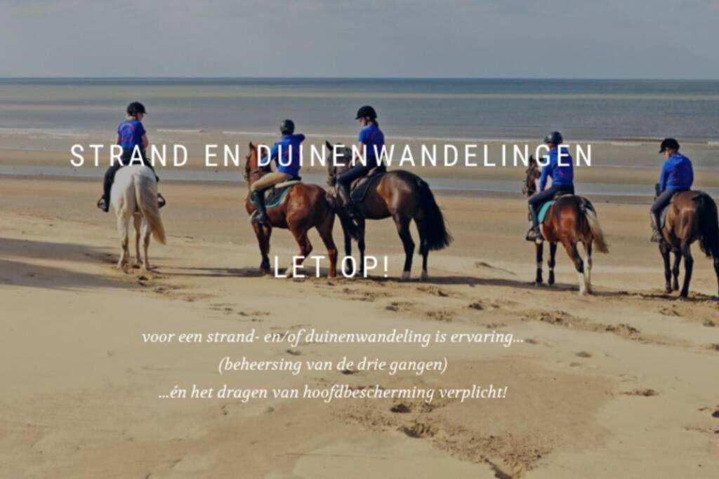 Villa Friedolin Heeft Zicht Op Zee En Duinen, In Duinenreservaat, Hot Tub Met Jacuzzi En Sauna Met Zeezichten Te Oostduinkerke Zewnętrze zdjęcie